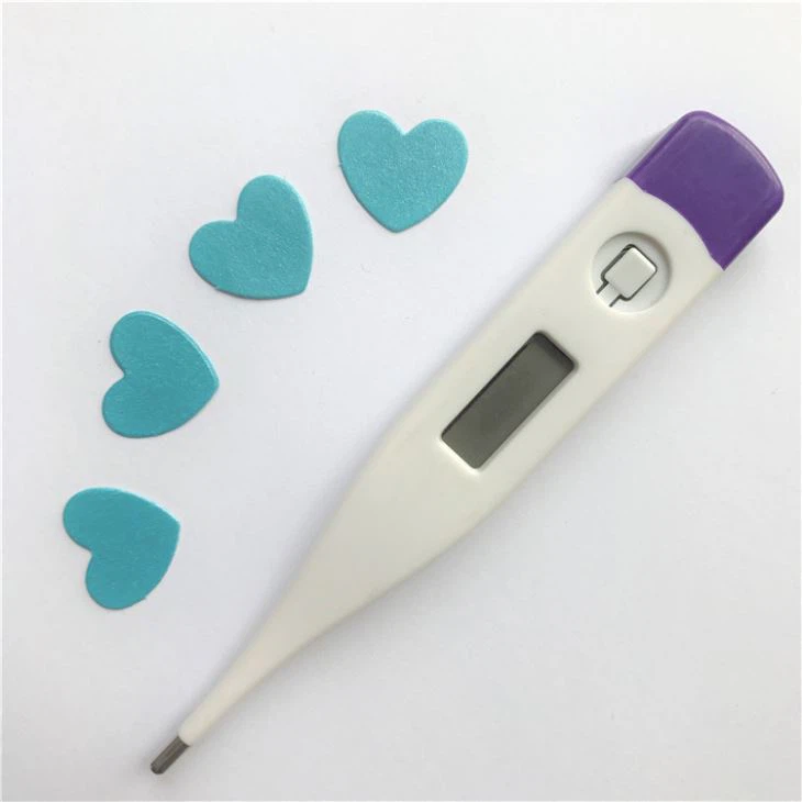 Digital Oral Thermometer